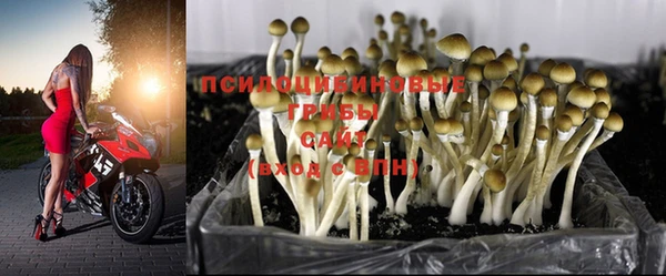 марки lsd Богородск