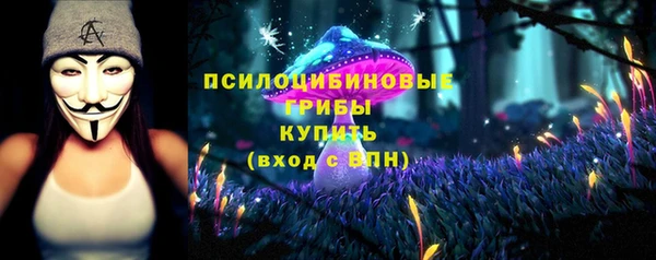 стаф Богородицк