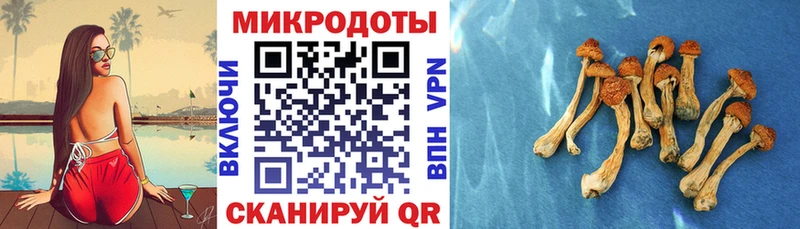 Псилоцибиновые грибы ЛСД  МЕГА как войти  Севск 